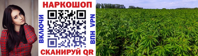 Магазины продажи наркотиков Кашира Alpha PVP  АМФЕТАМИН  Мефедрон  Гашиш  Cocaine  Каннабис 