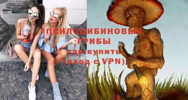 твердый Дмитриев