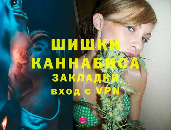 твердый Дмитриев