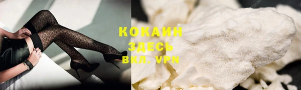 твердый Дмитриев