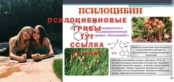 твердый Дмитриев