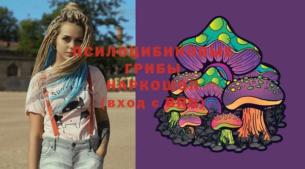 ГАЛЛЮЦИНОГЕННЫЕ ГРИБЫ Дмитров