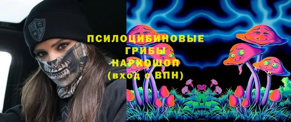 ГАЛЛЮЦИНОГЕННЫЕ ГРИБЫ Дмитровск