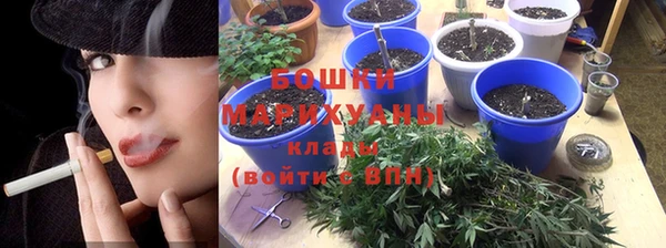 ГАЛЛЮЦИНОГЕННЫЕ ГРИБЫ Дмитров