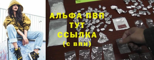 твердый Дмитриев