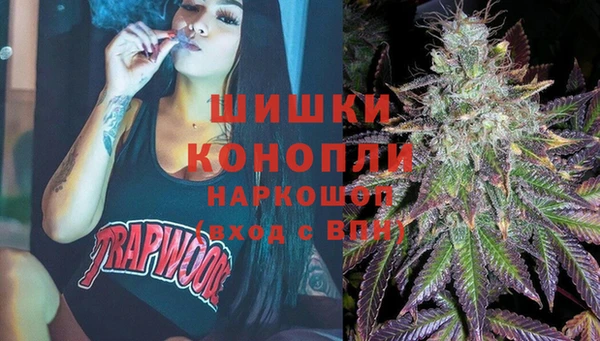 ГАЛЛЮЦИНОГЕННЫЕ ГРИБЫ Дмитров